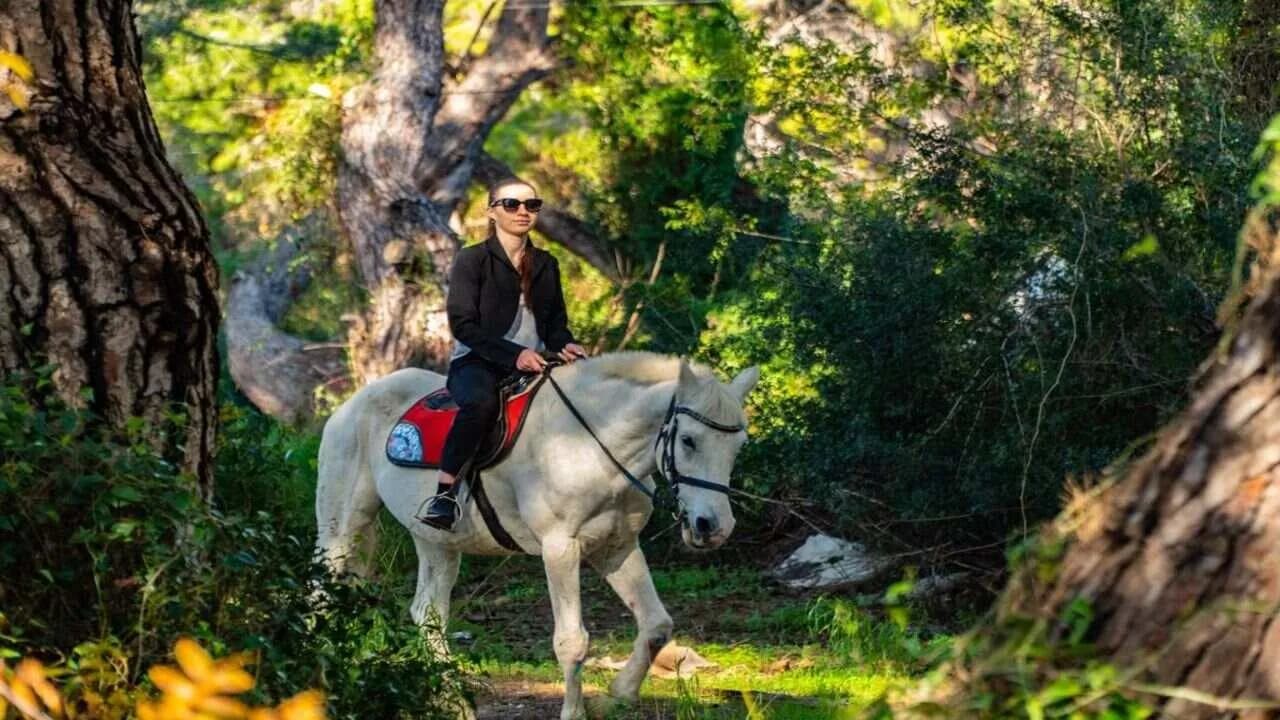 Alanya: Unique Horse Safari Experience in the Taurus Mountains with Transport