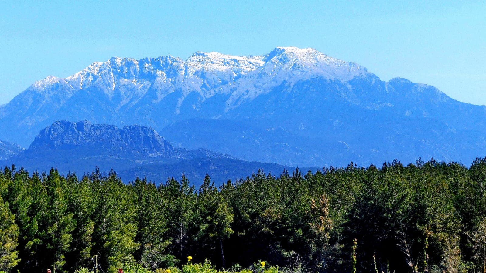 Schneebedeckte Taurusgipfel über Kiefernwald